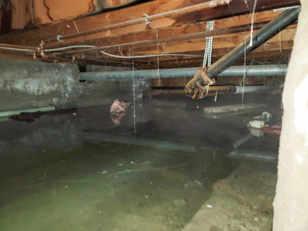 Best Sewage cleanup and water damage restoration  in Goldsboro, NC