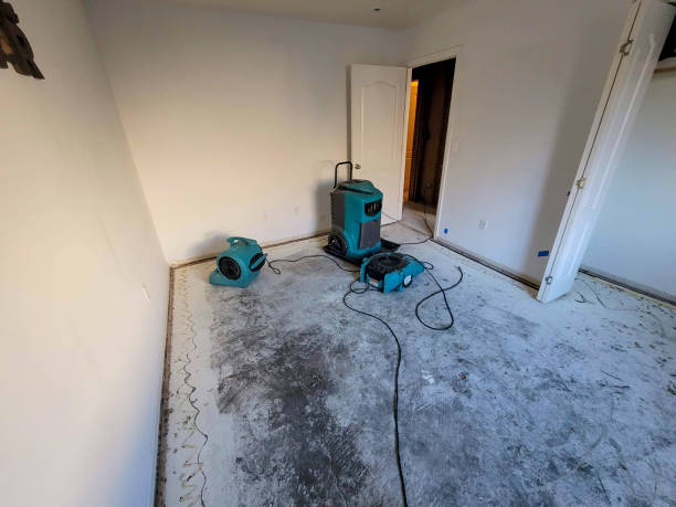 Best 24-hour water damage restoration  in Goldsboro, NC