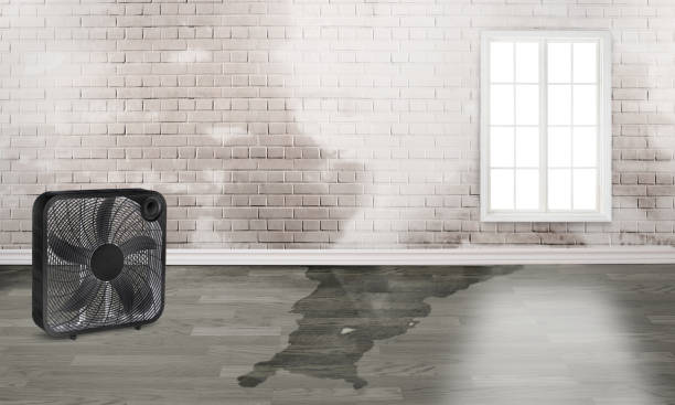 Fire Damage Restoration in Goldsboro, NC