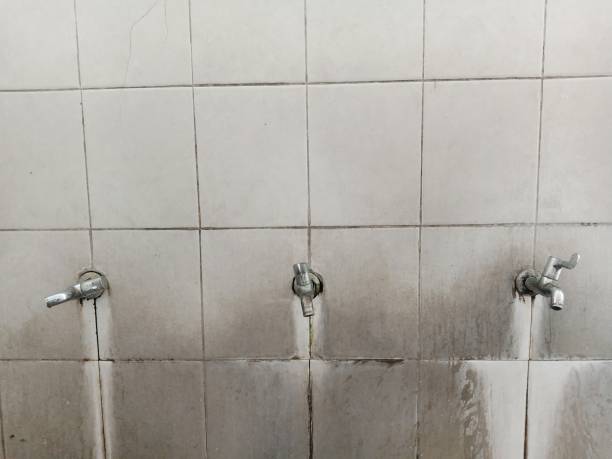Best Residential water damage restoration  in Goldsboro, NC