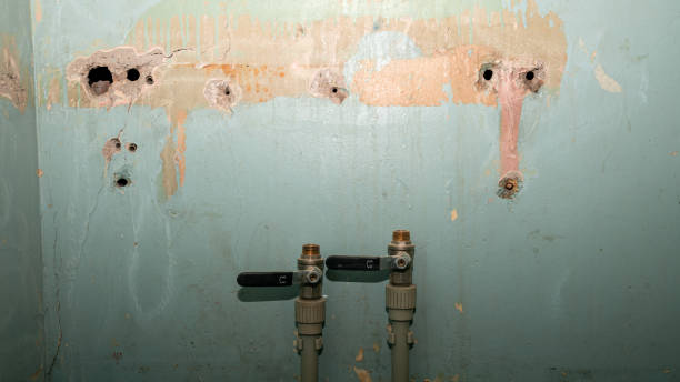  Goldsboro, NC Water damage restoration Pros