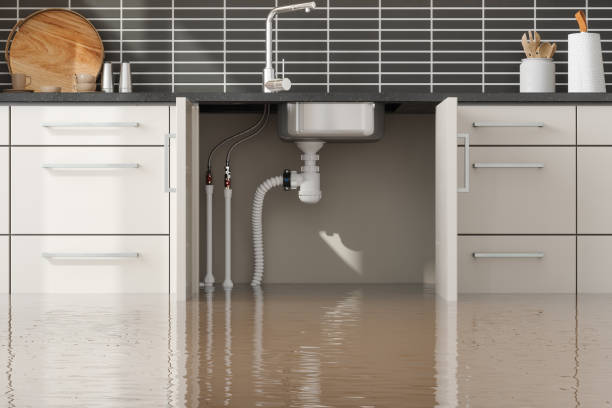 Best Commercial water damage restoration  in Goldsboro, NC