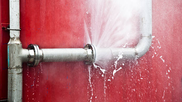 Best Flooded house restoration  in Goldsboro, NC