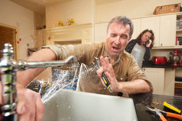 Best Mold removal after water damage  in Goldsboro, NC